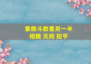 紫微斗数看另一半相貌 天同 知乎